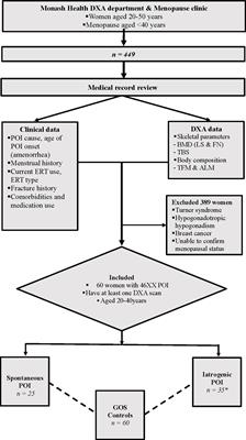 Abnormal Trabecular Bone Score, Lower Bone Mineral Density and Lean Mass in Young Women With Premature Ovarian Insufficiency Are Prevented by Oestrogen Replacement